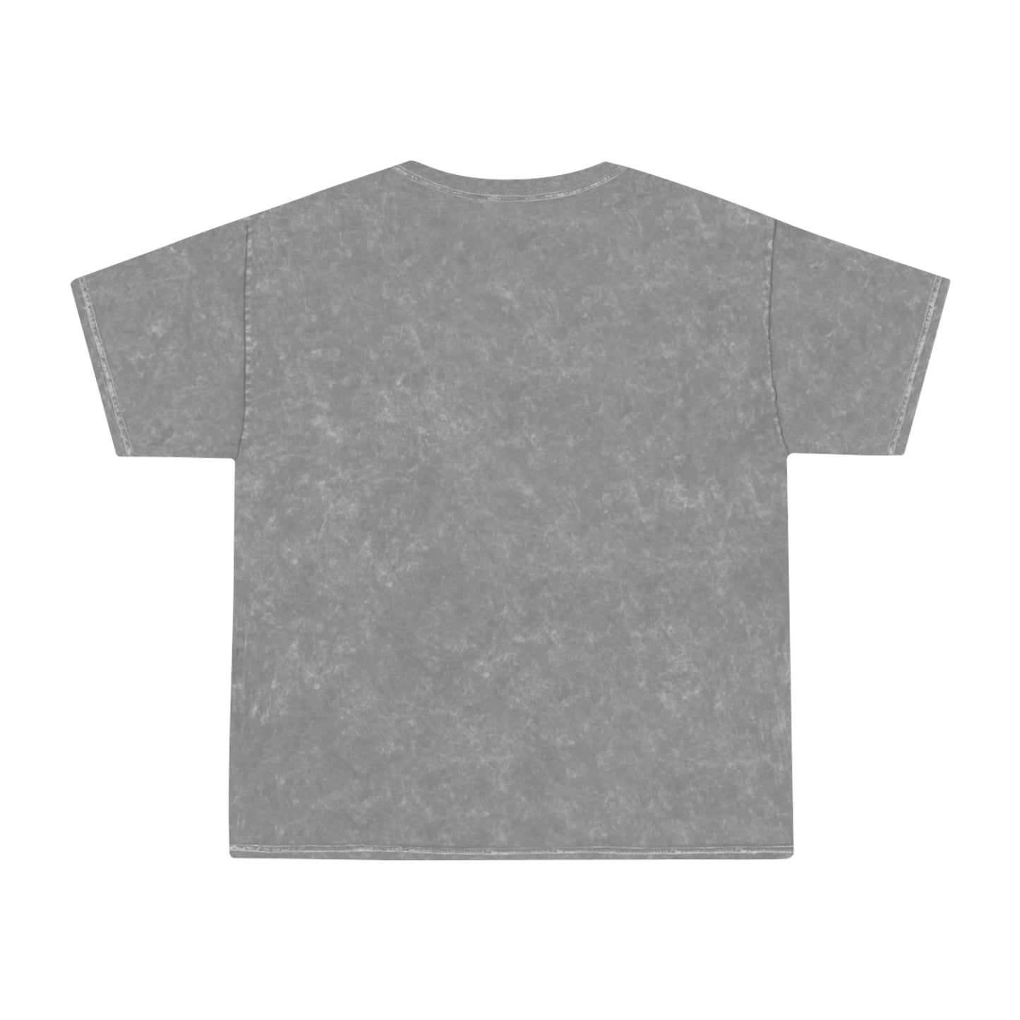 Protected Unisex Mineral Wash T-Shirt